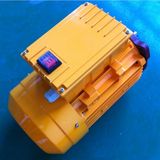 Yl\Ml Aluminium Electric Induction Motor, Induction Electric Motor